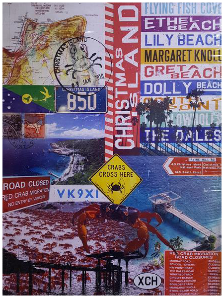 CI Destination Canvas-A3 Collage