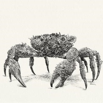Christmas Island Red Crab - Giclee Print